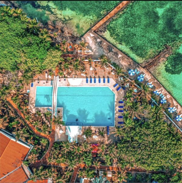 COCOLISO PREMIUM - Image 5