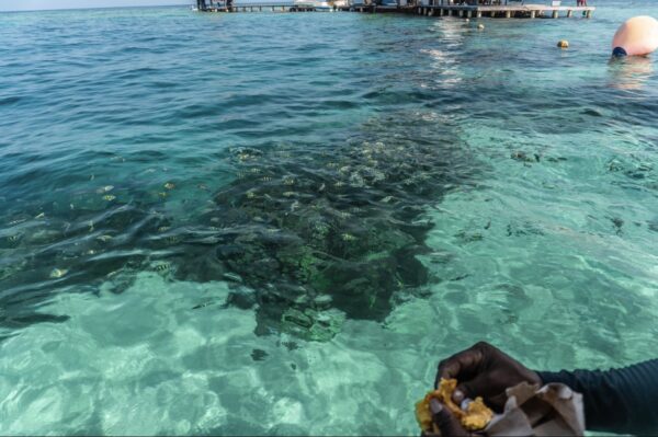 TOP 3 ISLAS BY BORA BORA - Image 8