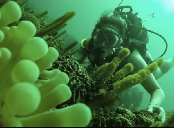 BUCEO EN BARÚ - Image 4
