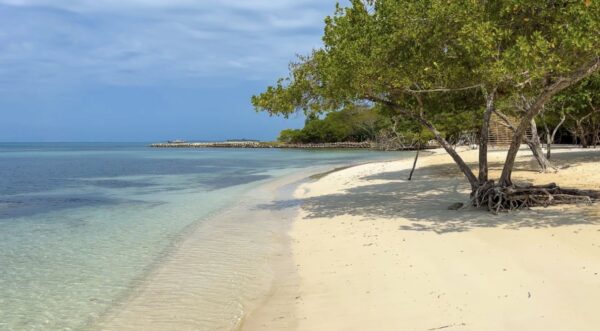 SABAI MARÍTIMO - Image 8