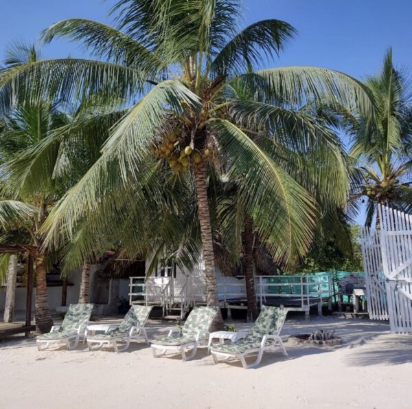 MARINE BEACH - Image 8