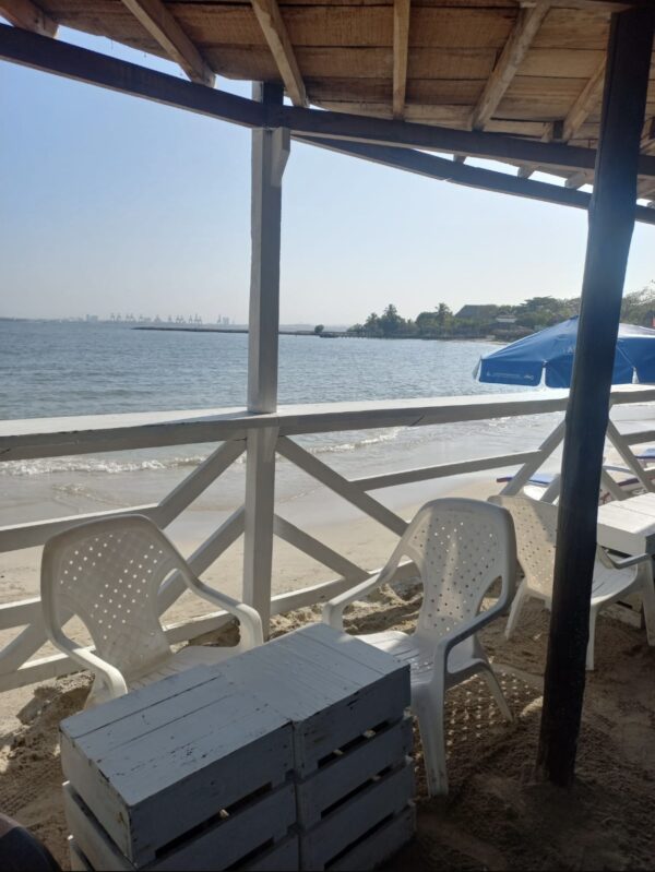PUNTA ARENA - Image 7