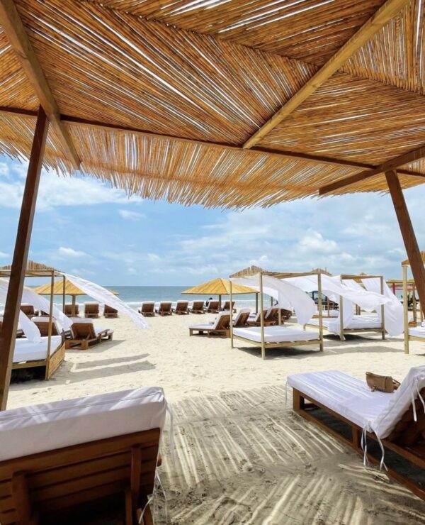 ANCESTRAL LOUNGE - Image 2