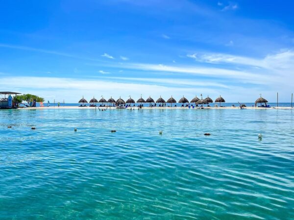 ISLA PALMA - Image 2