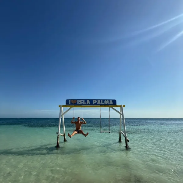ISLA PALMA - Image 3