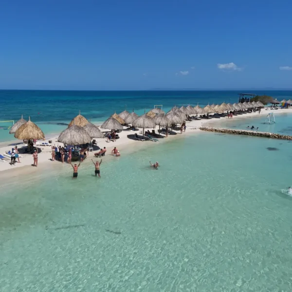 ISLA PALMA - Image 4
