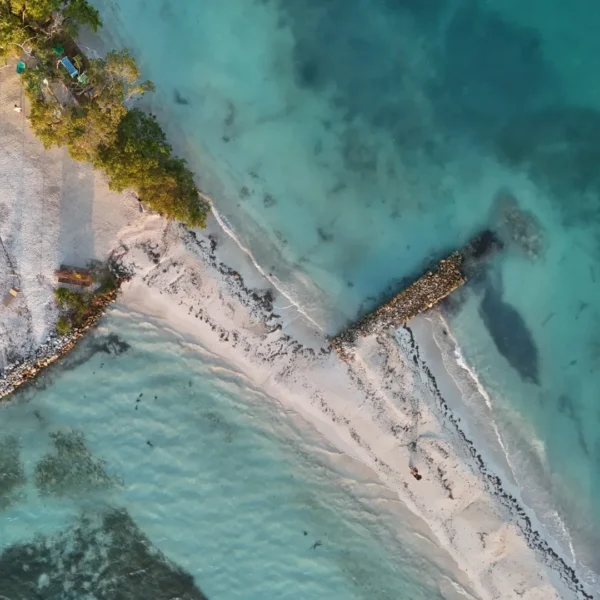 ISLA PALMA - Image 5