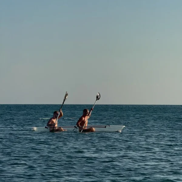 ISLA PALMA - Image 7