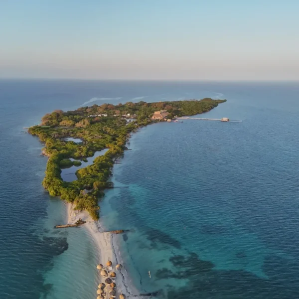 ISLA PALMA - Image 8