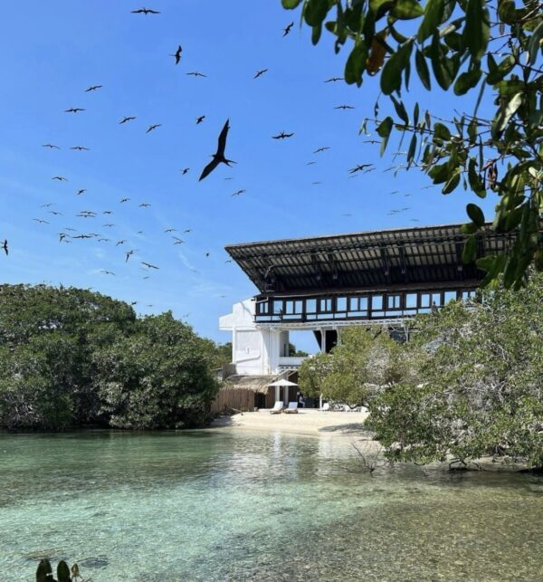 PAO PAO BEACH CLUB - Image 8